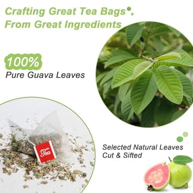 FullChea - Guava Leaves Tea Bags, 50 Teabags - Hojas De Guayaba, Premium Guava Leaf Tea - Non-GMO - Caffeine-free - Boost Immunity & Rich in Antioxidants - Image 3