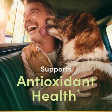 Nature's Bounty Vitamin E 1000 IU Softgels, Supports Antioxidant Health & Immune System, 1 Serving per Day, No Gluten, 60 Softgels (Pack of 1) - Image 2