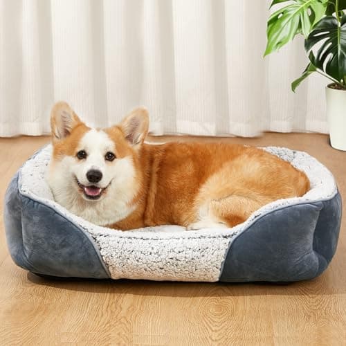 Dog Beds Small Medium Large Size Dog, Cat Beds for Indoor Cats Washable, Rectangle Calming Sleeping Warming Orthopedic Puppy Dog Beds, Non-Slip Bottom Breathable Soft Couch - Image 1