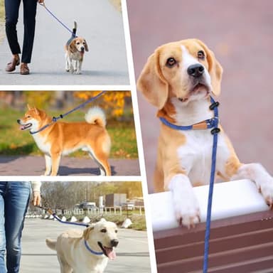 lynxking Slip Lead Dog Leash Reflective, Heavy Duty Comfortable Strong Rope for Large Medium Small Dogs No Pull Pet Training (Blue, Large 1/2in x 6ft-Slip Lead) - Image 7