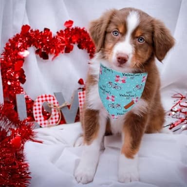 PTDECOR Valentine Dog Bandana,Bule and Pink Love Heart Design Reversible Dog Scarf, Triangle Valentine Bandanas for Small Pets (Small - Image 4