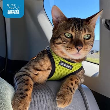 Best Pet Supplies Voyager Step-in Air Harness - All Weather Mesh, Reflective, No Pull Harness for Dogs, Cats - Secure with Hook & Loop Fastener, Buckle, Double D-Rings - Lime Green/Black Trim, M - Image 9