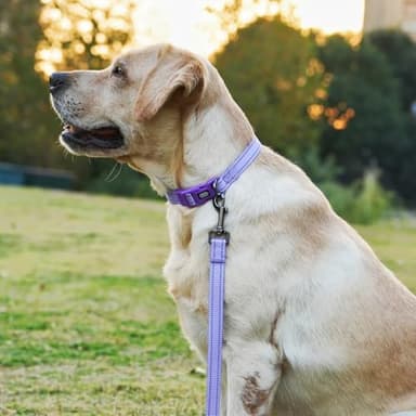 Olahibi Dog Collar Leash Set, Durable Nylon with Reflective Stripes, 5ft Matching Leash, for Small Dogs.(S, Purple) - Image 2