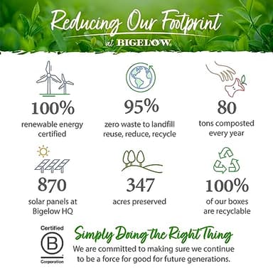 Bigelow Tea Seasonal Tea 6 Flavor Variety Pack, Mixed Caffeinated and Caffeine Free, 18 Count Pack of 6, 108 Total Tea Bags (Flavors May Vary) - Image 5