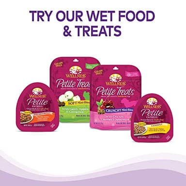 Wellness Complete Health Dry Dog Food for Small Dogs, Toy Breed, Wholesome Grains, Natural, Chicken, Brown Rice, & Peas Recipe, 4-Pound Bag - Image 11