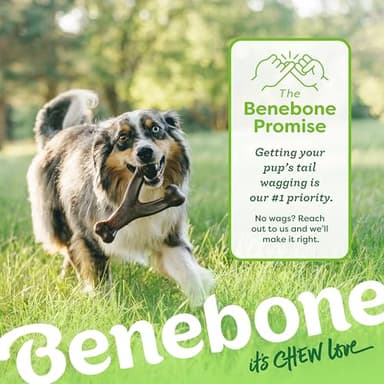 Benebone 2 Count (Pack of 1) Wishbone/Dental Durable Dog Chew Toys, Real Bacon, Made in USA, Small - Image 6