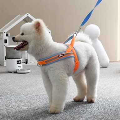 AIITLE Soft Padded Dog Vest Harness, No Pull Dog Harness with A Handle, Escape Proof/Quick Fit Reflective Dog Strap Harness, Easy for Training Walking Running for Small Dogs Orange-Blue XS - Image 7