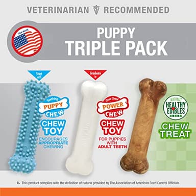 Nylabone New Puppy Starter Kit, Chew Toys & Natural Chew Treat for Puppies, Puppy Enrichment Teething Toys, Blue, Long Lasting Chicken & Bacon Flavor, Small Dogs - Up to 25 Ibs, 3 Pack - Image 3