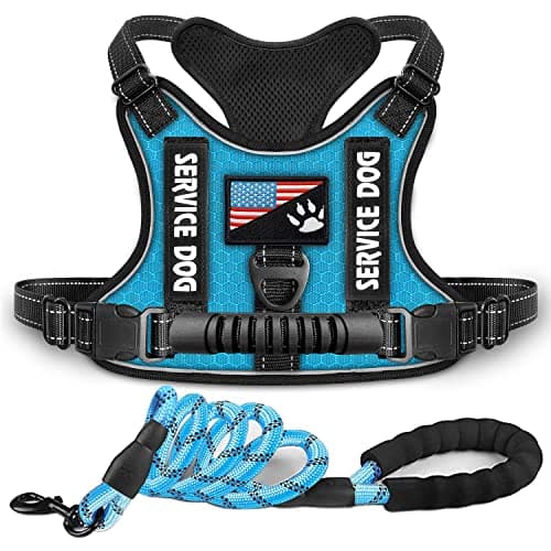 Dogmify Service Dog Harness,No-Pull Reflective Pet Vest Harness and Leash Set,Adjustable Oxford Service Dog Vest with Handle,Easy Control for Small Medium Large Dogs - Image 1