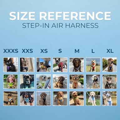 Best Pet Supplies Voyager Step-in Air Harness - All Weather Mesh, Reflective, No Pull Harness for Dogs, Cats - Secure with Hook & Loop Fastener, Buckle, Double D-Rings - Orange/Black Trim, XXXS - Image 6