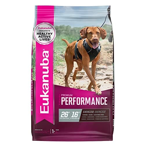Eukanuba Premium Performance 26/16 Exercise Dry Dog Food, Dry Dog Food with Protein and Fat to Support Optimal Energy, 28 lb Bag - Image 1