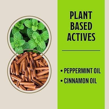 Grandpa Gus’s Extra-Strength Mouse Repellent Pouches, Peppermint & Cinnamon Oil, Natural Rodent Deterrent Control for Garage, RV, Car, Basement, Attic, Storage, 1.75 Oz (Pack of 10) - Image 3