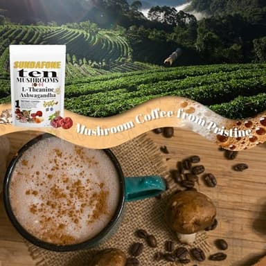 SUNDAFONE Mushroom Coffee with L-Theanine, Ashwagandha,Lion's Mane, Reishi and 10 Adaptogenic Mushrooms; Super Instant Cold Brew Protein Iced Coffee Blend; 0g of Sugar, Low Caffeine, 30 Servings - Image 8