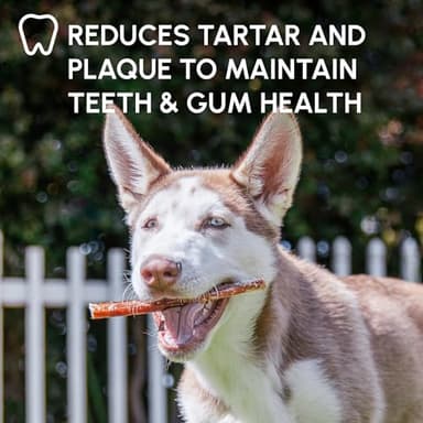 Downtown Pet Supply Bully Sticks for Dogs - Natural 6 Inch Beef Chews, Odor-Free & Rawhide-Free, Long Lasting Dog Treats for Aggressive Chewers - Healthy, Safe & Delicious Chews Dogs Love (18 Pack) - Image 7