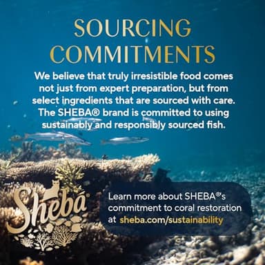 Sheba Perfect Portions Wet Cat Food Cuts in Gravy Variety Pack, Roasted Chicken Entree, with Sustainable Salmon, and Tender Turkey Entree, 2.6 oz. Twin-Pack Trays (24 Count, 48 Servings) - Image 12
