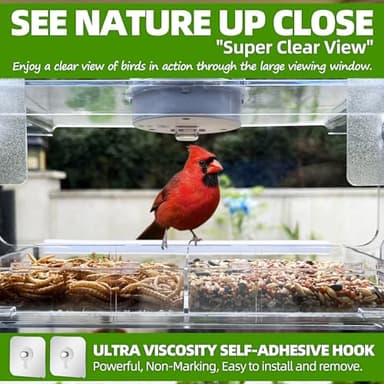 WENMIXER Window Bird Feeder with Non-Marking Self-Adhesive Hooks, Clear and Transparent, Outdoor Wild Bird Watching Gift, Garden Decor (with Solar Light) - Image 2