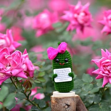 KALAWALK Funny 1 Pcs Crochet Gifts with Positive Affirmations Cards for Inspirational Novelty Good Luck Gifts and Party Decorations (KK-CKD04-RR_Bow) - Image 8