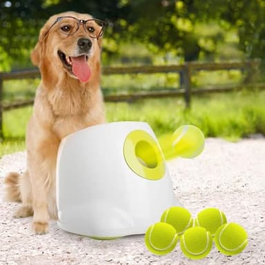 ALL FOR PAWS Automatic Dog Ball Launcher for Medium to Large Dogs, Interactive Tennis Ball Thrower, Rechargeable Dog Toy Mental Stimulation Training Game for Energetic Dogs - Image 1