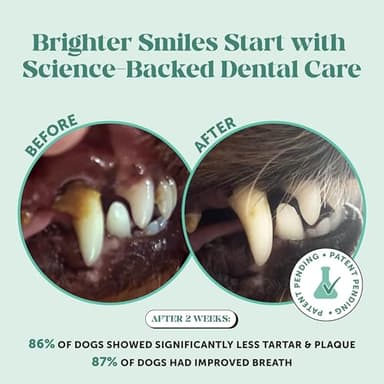 Dog Breath Freshener Dental Powder for Teeth Cleaning Plaque Off, Dental Care for Dogs, Tartar Remover for Teeth with Natural Herbal Blend + Postbiotics (Mint - 30 Servings) - Image 2