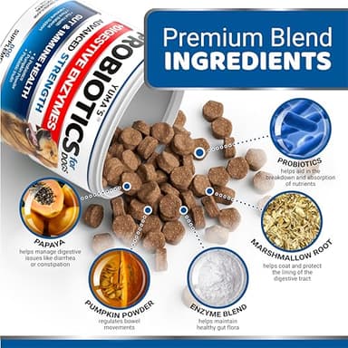 Probiotics for Dogs and Digestive Enzymes - 170 Dog Probiotics Chews - Dog Probiotic - Anti Diarrhea, Upset Stomach & Gas Relief, Constipation, Canine Prebiotic - Pet Fiber Supplement - Gut Health - Image 3