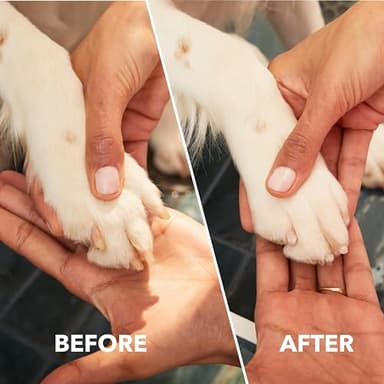 Dremel PawControl 7760-PET Dog Nail Grinder and Trimmer - Cordless & Rechargeable Pet Grooming Tool Kit - Safe for Dogs, Cats, and Small Animals (Amazon Exclusive) - Image 4