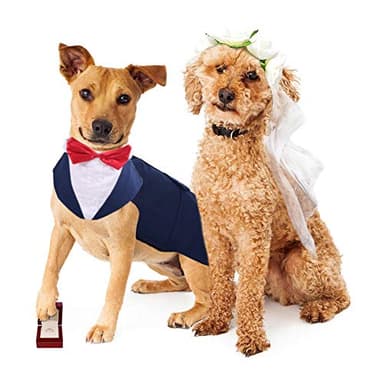 PUMYPOREITY Tuxedo for Large Dogs, Tuxedo and Bandana Set, Formal Wedding Attire, Gentleman Attire With Bowtie for Valentines Christmas Birthday, 2 Pieces/Pack, L, Blue - Image 7