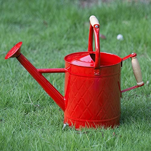 HORTICAN 1 Gallon Watering Can, Red, Galvanized, Metal Watering Can with Removable Spout, Perfect Water Can for Indoor & Outdoor Plants - Image 1