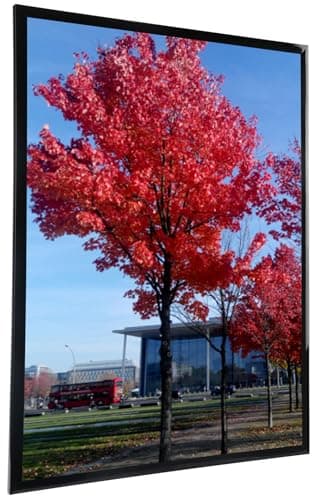 Medog Studio Gallery 24x36 Poster Frame Black,Display Pictures 24x36 Picture Frame, Studio Gallery Frame, Wall Schools Colleges Sign Frame, 1 Pack - Image 2