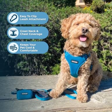 Best Pet Supplies Voyager Mesh Dog Breathable Harness Reflective Stitching, All Weather Adjustable for Walking Training, or Running - Heavy Duty & Durable, Harness (Turquoise), S - Image 5