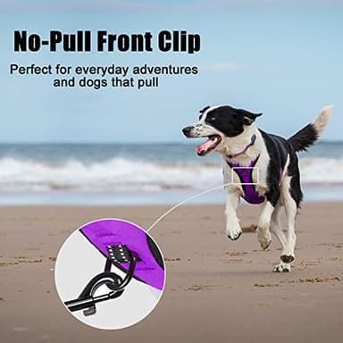 PoyPet No Pull Dog Harness, Reflective Comfortable Vest Harness with Front & Back 2 Leash Attachments and Easy Control Handle Adjustable Soft Padded Pet Vest for Small to Large Dogs (Purple,M) - Image 3
