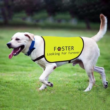 Foster Dog Jacket Vest Looking for Furever Dog Harness Dog Adoption Slogan Vest (Looking for Furever-Medium) - Image 4