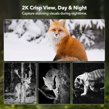 4G LTE Cellular Trail Cameras 2K 360° View Live Streaming Game Camera Built-in SIM Card with Motion Activated Color Night Vision Remote Phone Access Solar Powered Trail Camera IP65 Waterproof - Image 5