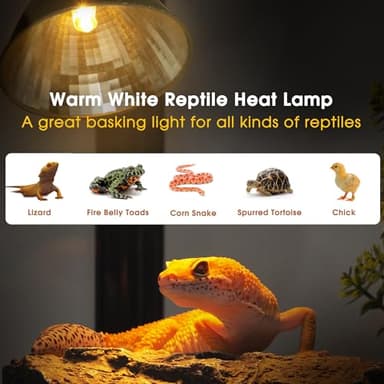 Reptile Heat Lamp 50W G9 Halogen Heat Bulb & Dome Reptile Light Fixture, Aluminum Reflector, UVA Basking Light for Reptiles, Dimmable Heat Lamp for Chicken Turtle Snake Gecko Lizard - Image 2