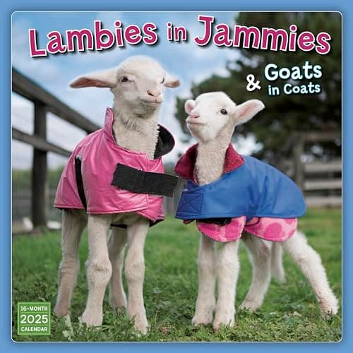 2025 Wall Calendar: Lambies in Jammies & Goats In Coats, 12" x 12" - Image 1