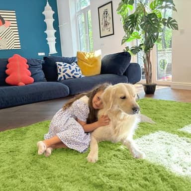 OLANLY 2x3 Machine Washable Small Bedside Rug, Soft Fluffy Shaggy Entryway Throw Rugs for Bedroom, Living Room, Indoor Floor Carpet for Kids Girl Boy, Nursery Rooms, Home Decor Aesthetic, Grass Green - Image 4