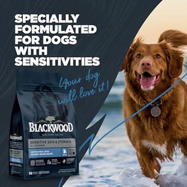 Blackwood Sensitive Skin & Stomach Dry Dog Food, Catfish Meal & Brown Rice with Ancient Grains, 24 Pound Bag with Prebiotics & Probiotics to Promote Gut Health - Image 8