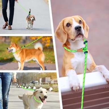 lynxking Slip Lead Dog Leash Reflective, Heavy Duty Comfortable Strong Rope for Large Medium Small Dogs No Pull Pet Training (Light Green, Large 1/2in x 6ft-Slip Lead) - Image 7