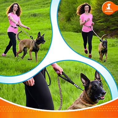 SparklyPets - Hands Free Dog Leash with Reflective Stitches - Waist Leash for Medium & Large Dogs Walking, Hiking, Training, Jogging, Canicross, Running - Image 5