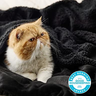 Bedsure GentleSoft Sherpa Fleece Blankets King Size for Bed - Thick and Warm, Soft Fuzzy Plush King Blanket for Winter, Black, 108x90 Inches - Image 2