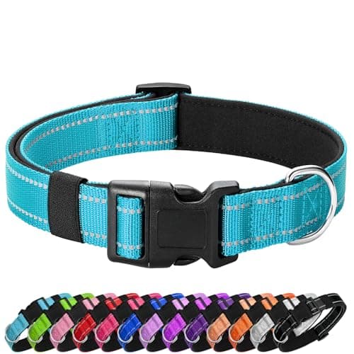 PenSeepet Reflective Dog Collar Padded with Soft Neoprene Breathable Quick Release Basic Dog Collars for Puppy Small Dogs Sky Blue - Image 1