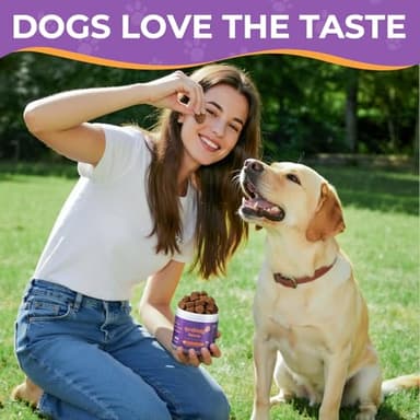 Probiotics for All Breeds and Ages Dogs, Support Gut Digestive Health, Anti Diarrhea, Constipation Relief, No More Allergies, Dog Supplements - Pork Flavor - 90 Soft Chews - Image 3