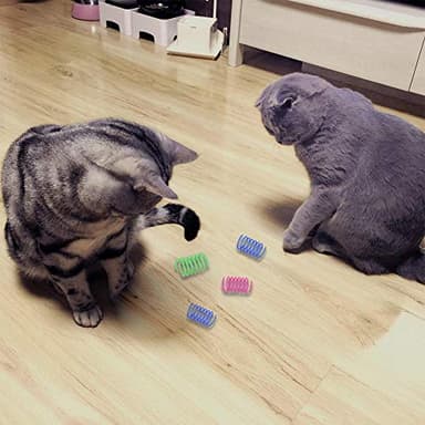 Andiker Interactive Cat Spiral Creative Spring Toy to Kill Time and Keep Fit, Sturdy and Heavy Plastic for Swatting, Biting, Hunting Kitten Toys, Colorful, 12 pcs - Image 2