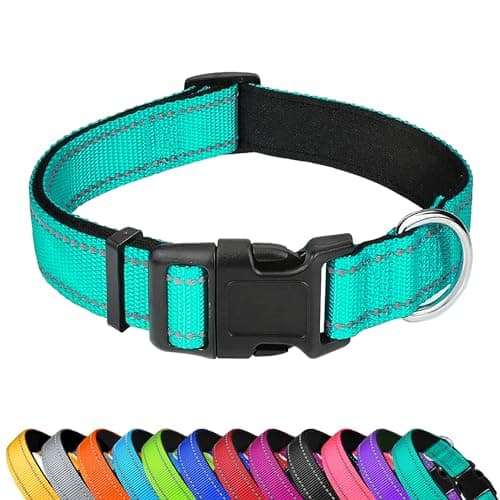 PWOD Reflective Dog Collar, Adjustable Soft Neoprene Padded Nylon Pet Collars with Buckle for Medium Dogs, Teal,M - Image 1