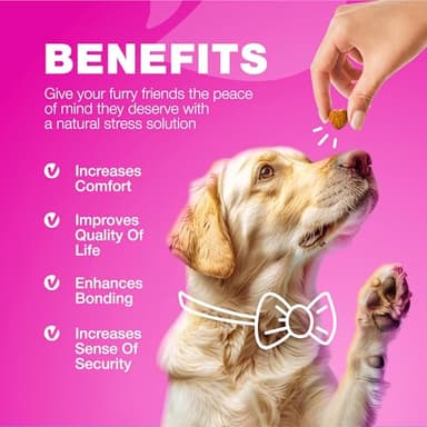 Dog UTI Treatment - Dog Cranberry Supplement for Urinary Tract, Bladder & Kidney Health, Incontinence Support - Bladder Control Cranberry Chews - Cranberry Supplement for Dog Incontinence - Image 8