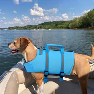 Queenmore Dog Life Jacket, M Dog Life Vest,High Floating Pet Life Vest for Swimming,Lightweight Adjustable Puppy Life Preserver for Boating,Dog Water Vest with Back Zip,Rescue Handle,Hook (Blue M) - Image 7