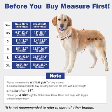 Tacwild No Pull Dog Harness - Adjustable Reflective Dog Vest with Metal Snap, Soft Breathable Mesh No Choke Puppy Harness, Easy to Put on & Take Off (Blue-XL) - Image 2