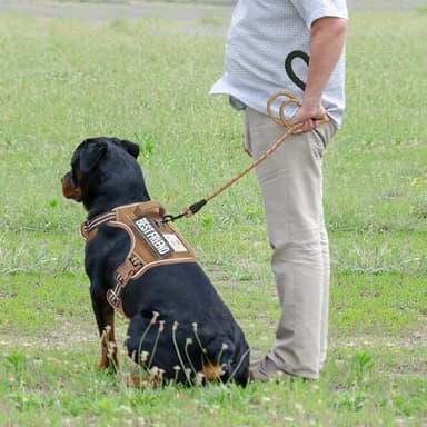 Beebiepet Heavy Duty Tactical Dog Harness for Large Dogs, No Pull Adjustable Pet Harness Reflective Service Training Easy Control Pet Vest Military K9 Working Dog Harnesses- Large, Brown - Image 3