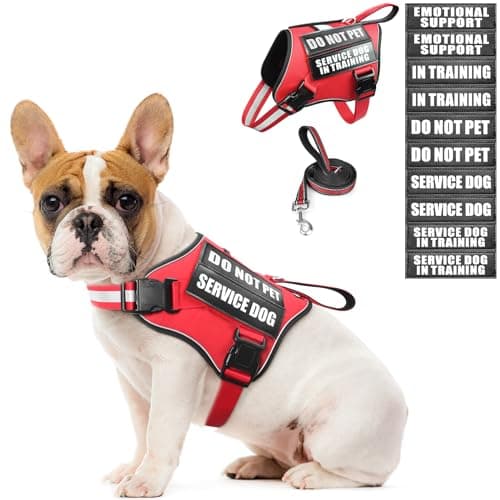 MOOGROU Service Dog Vest Harness and Leash Set+10 Patches,No Pull&Adjustable Reflective Dog Harness with Soft Padded Handle for Training/Everyday,Fit Small/Medium/Large/Extra-Large Dogs (Red S) - Image 1