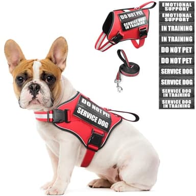 MOOGROU Service Dog Vest Harness and Leash Set+10 Patches,No Pull&Adjustable Reflective Dog Harness with Soft Padded Handle for Training/Everyday,Fit Small/Medium/Large/Extra-Large Dogs (Red S) - Image 1