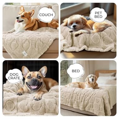 Luciphia Small Dog Blanket Washable Pet Bed Cover Soft Fluffy Puppy Blanket with Premium Fleece 300GSM Cozy Calming Cat Blankets for Indoor Cats Beige 30x20 inch - Image 3